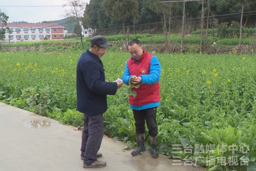 人大代表建议 强化病虫监测防控 虫口夺粮 促丰收