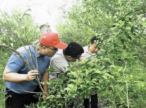 江西 百团千人送科技下乡助力乡村振兴 服务活动在行动