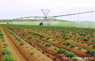 植医堂:推进绿色防控 打造一站式农作物病虫害防治服务方案